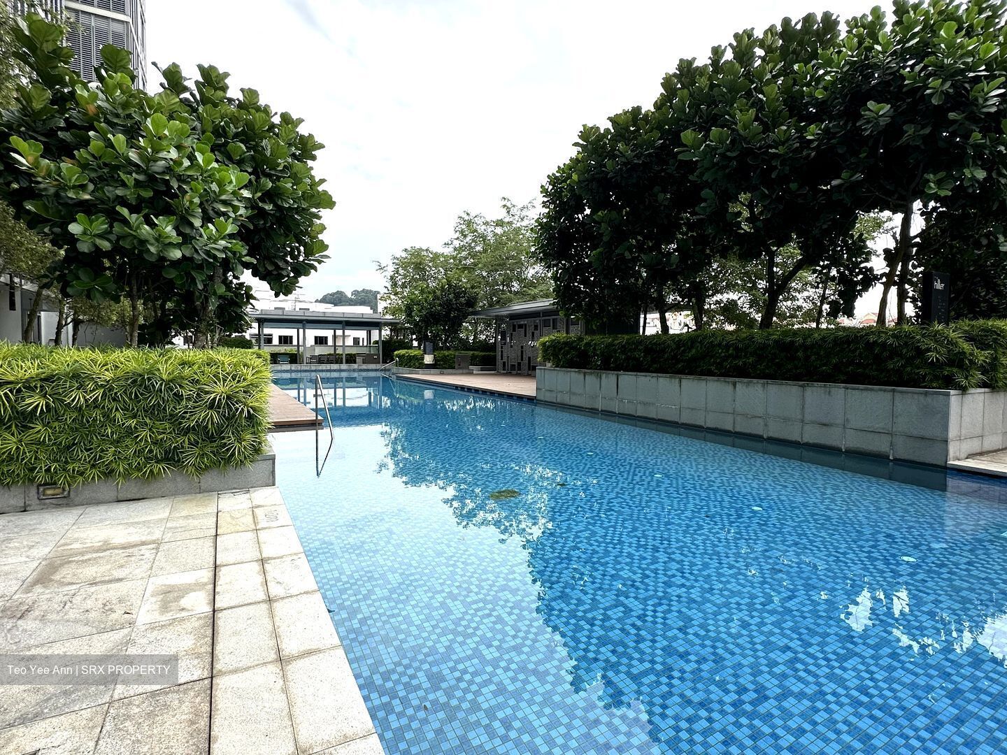 The Hillier (D23), Apartment #492245781